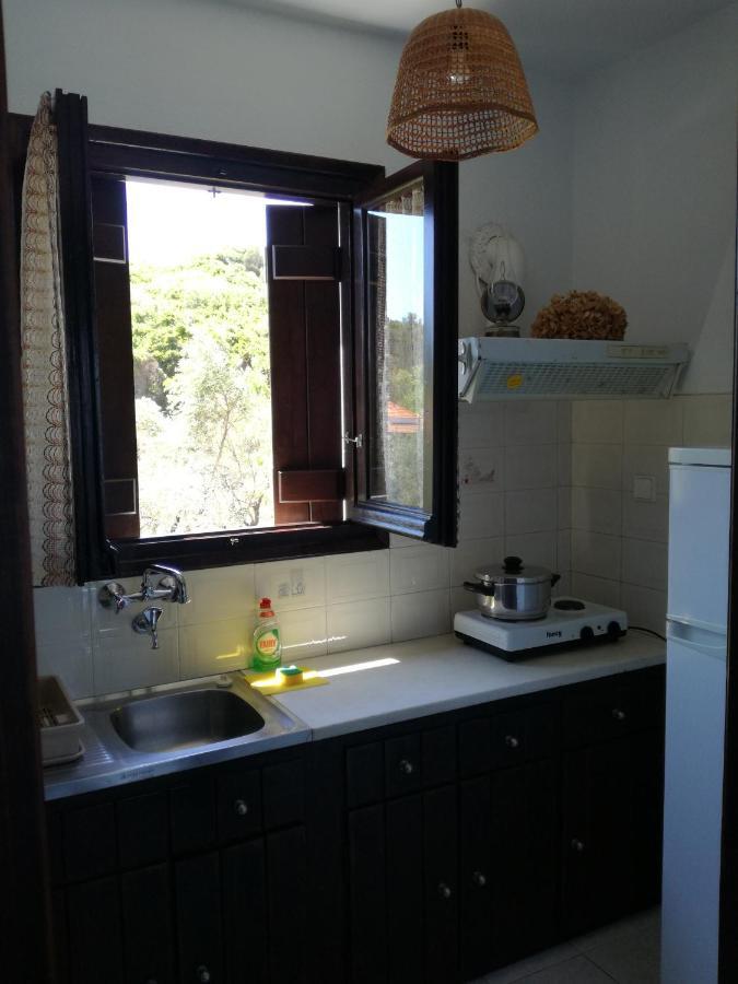 Olga Paltsi Rooms Paltsi Pilion Luaran gambar
